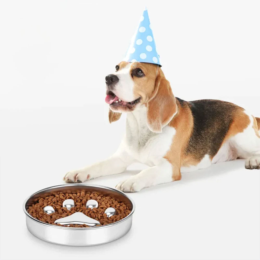 Slow Eating Stainless Steel Dog Bowl for Safe Feeding