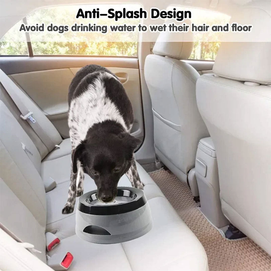 Portable No-Spill Travel Pet Bowl
