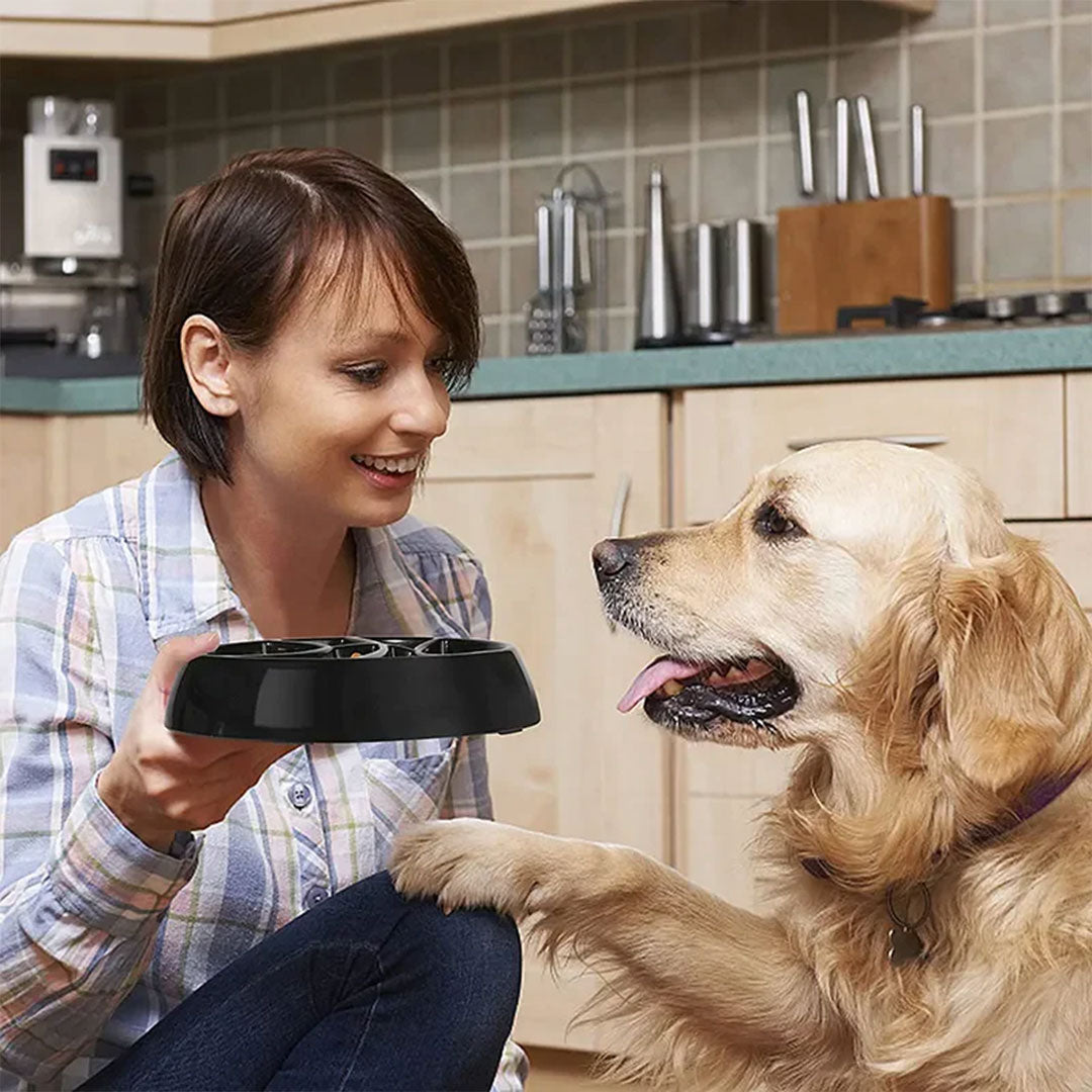 Interactive Basketball Slow Feeding Dog Bowl