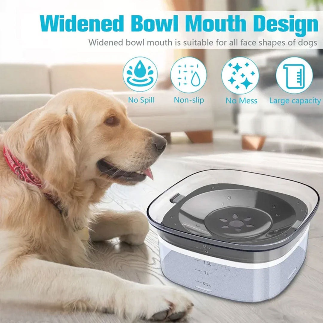 2-in-1 Slow Drinking Pet Bowl Feeder