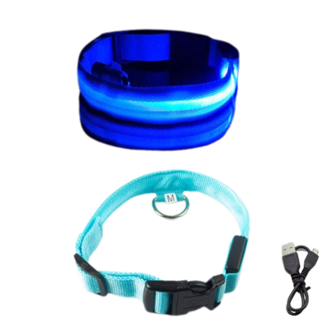 USB Rechargeable LED Dog Collar