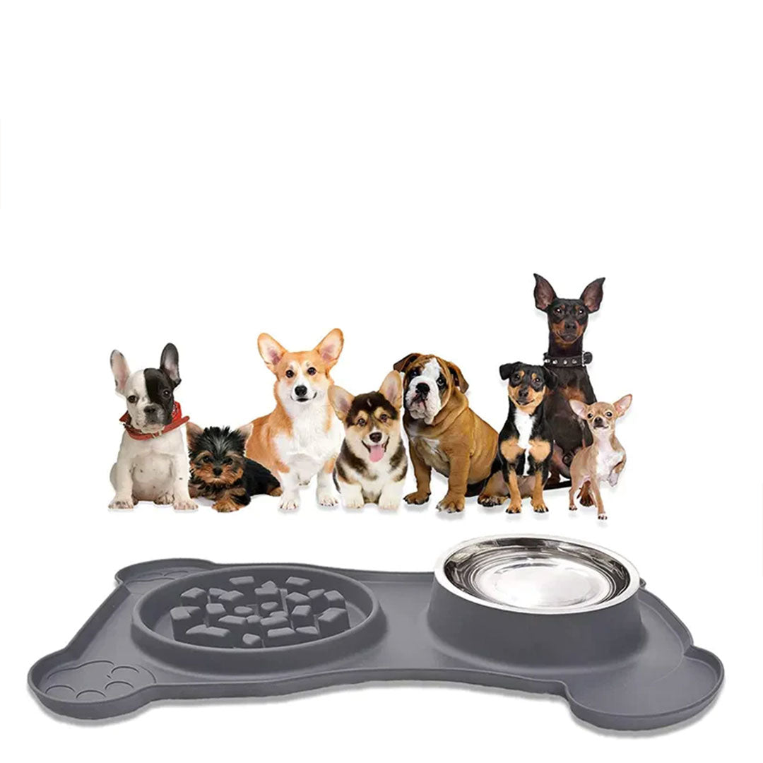 Stainless Steel 2-in-1 Non-Spill Slow Feeder Pet Bowl